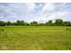 Lush green backyard providing ample space for recreation and relaxation at 11320 Lynchburg Way, Indianapolis, IN 46229