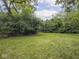 Spacious backyard with mature trees providing shade and privacy at 1207 Pickwick Pl, Indianapolis, IN 46208