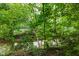 Creek view surrounded by mature trees, a relaxing outdoor space at 12118 Castle Row Overlook, Carmel, IN 46033