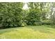 Lush green backyard with mature trees offers privacy and a serene outdoor space at 15308 Wolf Run Ct, Noblesville, IN 46060