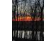 A view of trees during sunset and water through the trees in the background of the lot at 14442 Treasure Creek Ln, Fishers, IN 46038