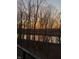 Enjoy the sunset in this view of trees and water from the backyard of the property at 14442 Treasure Creek Ln, Fishers, IN 46038
