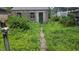 Backyard shed and overgrown yard showing maintenance may be required at 2157 Sugar Grove Ave, Indianapolis, IN 46202