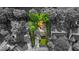 Aerial view of the home with a green lawn and deck surrounded by mature trees at 5010 Donner Ln, Indianapolis, IN 46268