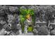 Aerial view of the home with a green lawn and deck surrounded by mature trees at 5010 Donner Ln, Indianapolis, IN 46268