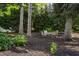 Tranquil backyard seating area nestled under mature trees, offering a peaceful retreat for relaxation and conversation at 8651 Emerald Ln, Indianapolis, IN 46260