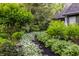 Charming garden path lined with verdant plants and flowers, creating a picturesque and tranquil outdoor setting at 8651 Emerald Ln, Indianapolis, IN 46260