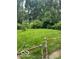 Expansive green backyard with mature trees, perfect for outdoor activities and relaxation at 5312 N Kercheval Dr, Indianapolis, IN 46226