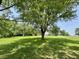Vast backyard featuring mature trees, offering shade and enhancing the natural beauty of the property at 725 N State Road 75, Lebanon, IN 46052