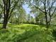 Expansive backyard with mature trees offering shade, creating a serene, park-like setting at 725 N State Road 75, Lebanon, IN 46052