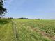 Vast cornfield under a clear sky, showcasing agricultural potential and rural charm at 725 N State Road 75, Lebanon, IN 46052