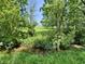 Scenic creek flowing through lush greenery and mature trees in the backyard at 725 N State Road 75, Lebanon, IN 46052