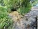 Serene view of a gentle stream surrounded by lush vegetation and a tree-lined path at 725 N State Road 75, Lebanon, IN 46052