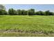 Scenic view of a green field with scattered trees, ideal for building or outdoor activities at 725 N State Road 75, Lebanon, IN 46052