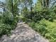 Peaceful path through lush foliage with a small stream, leading to open green space at 725 N State Road 75, Lebanon, IN 46052