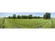 Panoramic view of a field, trees, and blue sky, highlighting the natural beauty of the landscape at 725 N State Road 75, Lebanon, IN 46052