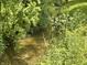 A tranquil stream winds through lush green vegetation, creating a peaceful natural setting at 725 N State Road 75, Lebanon, IN 46052