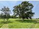 Scenic view of mature trees in a grassy field, providing shade and beauty at 725 N State Road 75, Lebanon, IN 46052