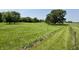 Beautiful field with mature trees and a red barn, perfect for a peaceful country retreat at 725 N State Road 75, Lebanon, IN 46052