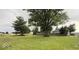 Large grassy backyard with a wooden fence, mature trees, and a glimpse of the home at 1352 S County Road 850 W, Greensburg, IN 47240