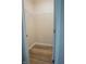 Walk-in closet with shelving and wood-look flooring at 4114 Dunedin Ct, Noblesville, IN 46062