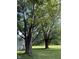 Expansive green yard with mature trees, providing ample shade and a serene outdoor setting at 4633 S County Road 500 E, Plainfield, IN 46168