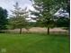 Scenic backyard featuring a lush lawn, mature trees, and a wooden fence bordering a field at 5749 Teresa Dr, Alexandria, IN 46001