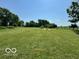 Lush backyard with a grassy expanse and trees, creating a serene outdoor environment at 10727 N Shupe Rd, Monrovia, IN 46157