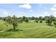 Beautiful golf course view with mature trees and manicured green spaces at 10753 Seaview Ln, Indianapolis, IN 46236