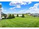 Expansive backyard with lush green lawn, mature trees, and scenic lake view, perfect for outdoor enjoyment at 14682 Braemar E Ave, Noblesville, IN 46062