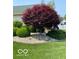 Landscaped front yard with mature trees and manicured shrubs, complemented by lush green grass at 3354 Nottinghill Dr, Plainfield, IN 46168