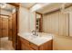 Bathroom featuring a wood vanity, sink, and a large mirror with view of closet at 6295 N Olney St, Indianapolis, IN 46220