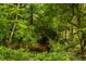 Creek view through a dense forest at 6295 N Olney St, Indianapolis, IN 46220