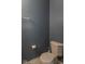 Powder room featuring gray paint, toilet, and towel rack at 6937 Thousand Oaks Dr, Indianapolis, IN 46214