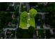 Bird's-eye view of the property highlighting its manicured lawn and lush tree coverage at 7727 Huff St, Indianapolis, IN 46259