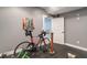 Gym area features a road bike, work out equipment, and a door to a bright blue room at 8904 Carnation Dr, Noblesville, IN 46060