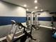 Basement gym with exercise bike, weight rack, and weight machine at 13895 Cloverfield Cir, Fishers, IN 46038