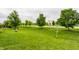 Spacious backyard with lush green grass, mature trees, and a well-manicured lawn at 3872 Dusty Sands Rd, Whitestown, IN 46075