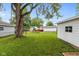 Fenced backyard featuring a large tree and a well-maintained lawn, perfect for outdoor enjoyment at 717 Berkeley Dr, Shelbyville, IN 46176
