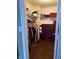 Walk-in closet with organized shelving, hanging racks, a wooden dresser, and ample storage space at 8113 Maple Stream Ln, Indianapolis, IN 46217