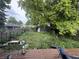Overgrown backyard featuring a shed and mature trees at 917 N Rural St, Indianapolis, IN 46201