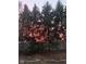 Fenced backyard with mature trees and sunset sky at 10707 Burning Ridge Ln, Fishers, IN 46037