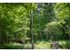 Wooded backyard scene featuring lots of trees and a rustic wooden bridge at 23119 Sonoma Ln, Cicero, IN 46034