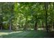 Lush backyard featuring mature trees and a well-maintained green lawn at 23119 Sonoma Ln, Cicero, IN 46034