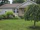 Landscaped front yard showcases a well-maintained lawn, mature trees, and charming curb appeal at 2412 Mars Hill St, Indianapolis, IN 46241