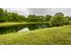 Scenic shot of a serene lake surrounded by lush greenery at 6771 Woodcliff Cir, Zionsville, IN 46077