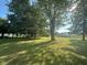 Spacious green lawn shaded by mature trees, creating a peaceful and inviting backyard at 815 N 12Th St, Elwood, IN 46036