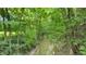 Creek in wooded area at 8818 Mathews Rd, Indianapolis, IN 46259