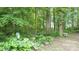 Lush landscaping with trees and foliage, plus rocks, hostas, bird house and bench at 8818 Mathews Rd, Indianapolis, IN 46259