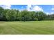 Open lawn, partially lined with trees, and a bright blue sky at 8818 Mathews Rd, Indianapolis, IN 46259
